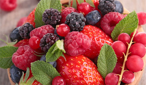 Fruit Growing Guide
