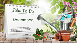 Garden Job's To Do In December