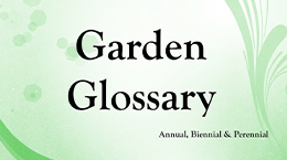 Plant Glossary Annual, Biennial & Perennial